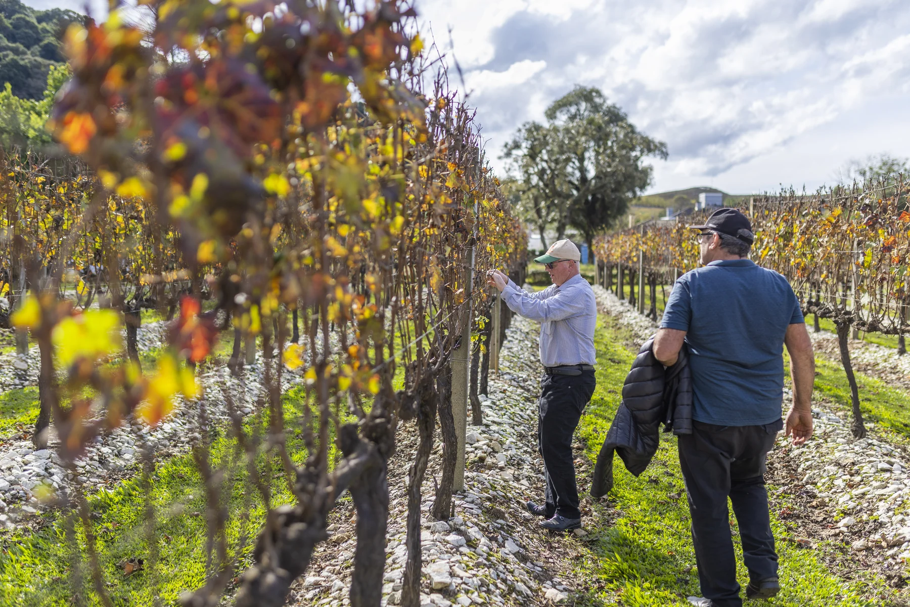 O encontro que redesenha o futuro da vitivinicultura