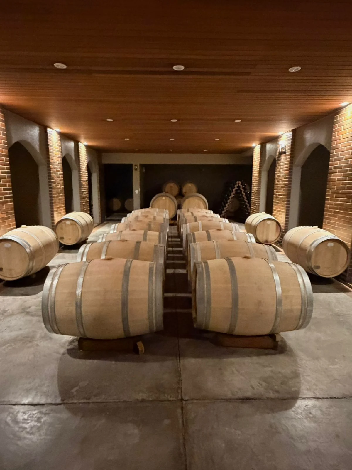 O vinho paranaense que virou história na França