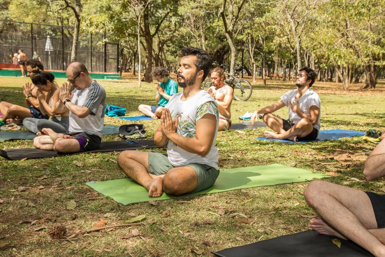Yoga gratuito no Ibirapuera planta árvores no Pantanal