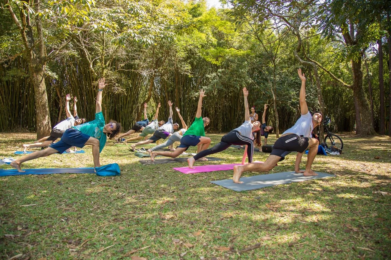 Yoga gratuito no Ibirapuera planta árvores no Pantanal