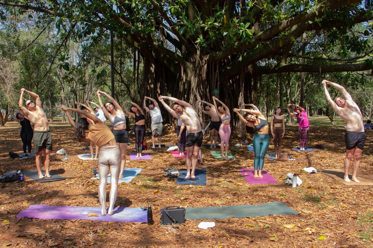 Yoga gratuito no Ibirapuera planta árvores no Pantanal