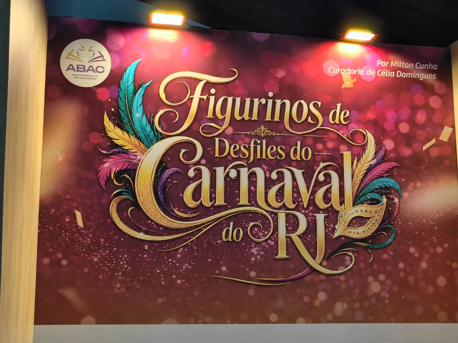ABAC leva força do Carnaval carioca ao maior congresso de samba