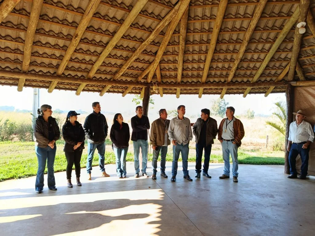 Cacau avança em SP e já transforma renda no campo com sistemas integrados