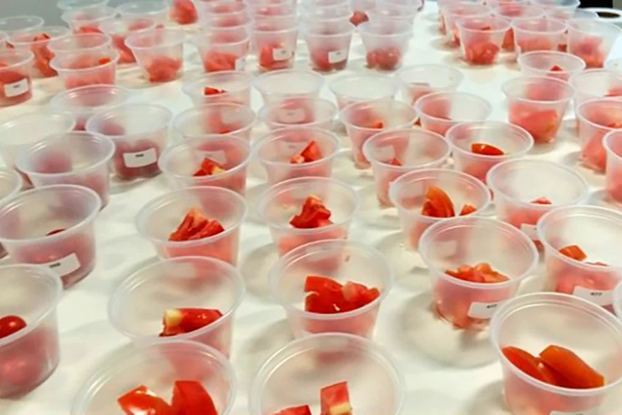 Concurso que elege o melhor tomate do Brasil retorna após 12 anos
