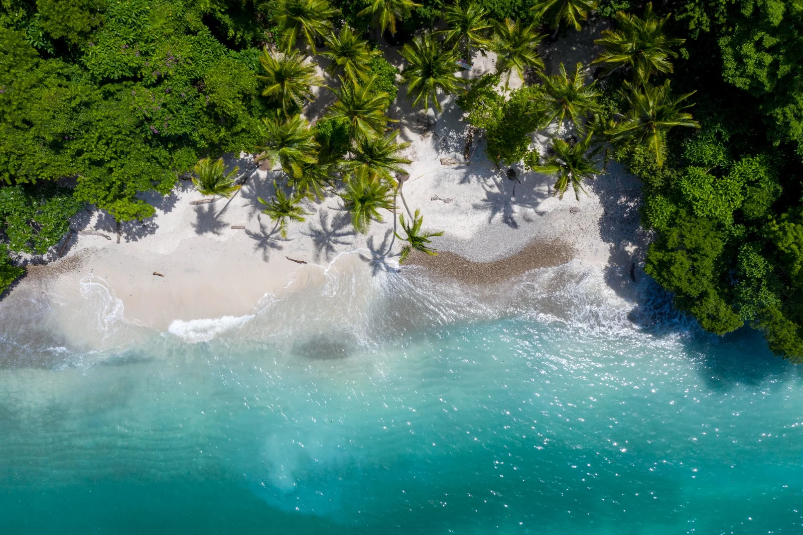 Costa Rica transforma turismo em motor global de sustentabilidade