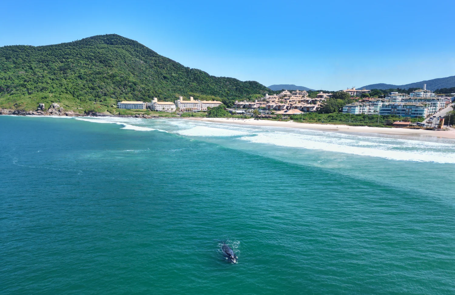 Costao do Santinho lança promoção com até 35% de desconto