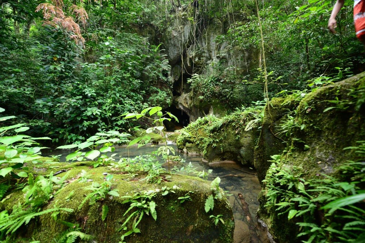 descubra o belize ancestral selvas templos maia e cavernas sagradas featured