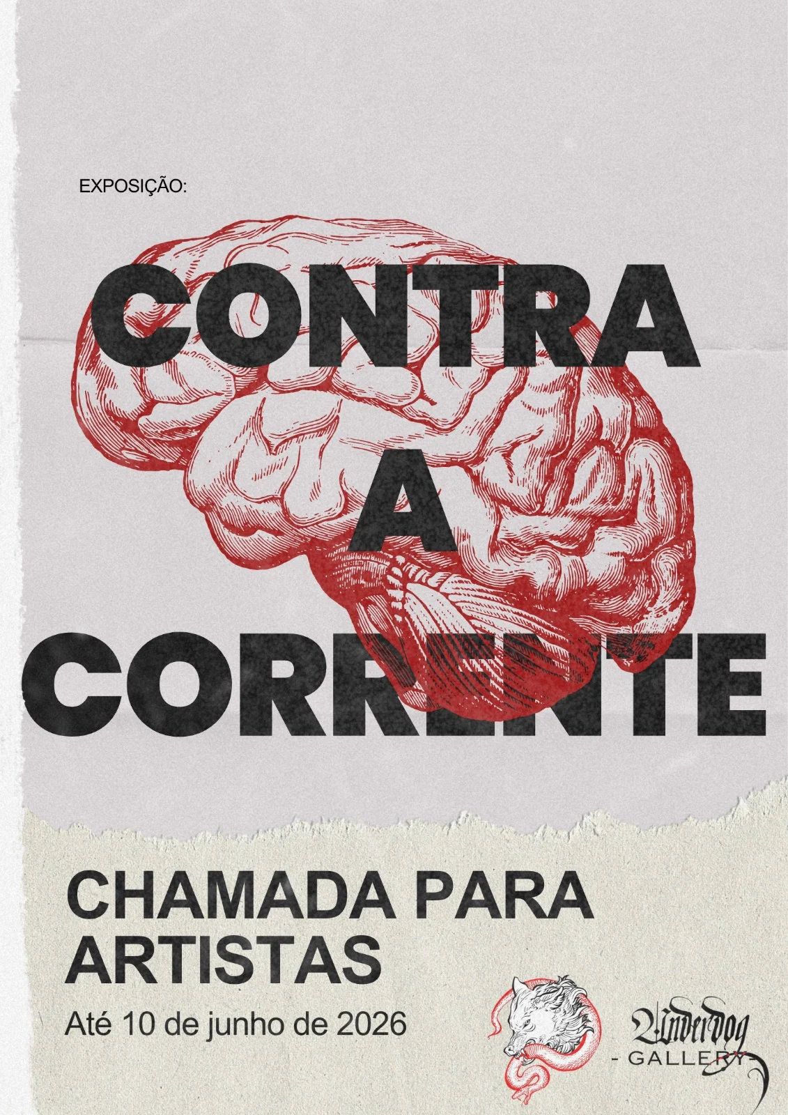 Exposição Contra a Corrente reúne artistas que desafiam padrões
