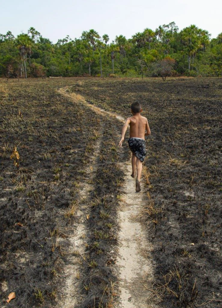 Exposição transforma museu em fluxo vivo de saberes sobre a Amazônia 1 Exposição transforma museu em fluxo vivo de saberes sobre a Amazônia