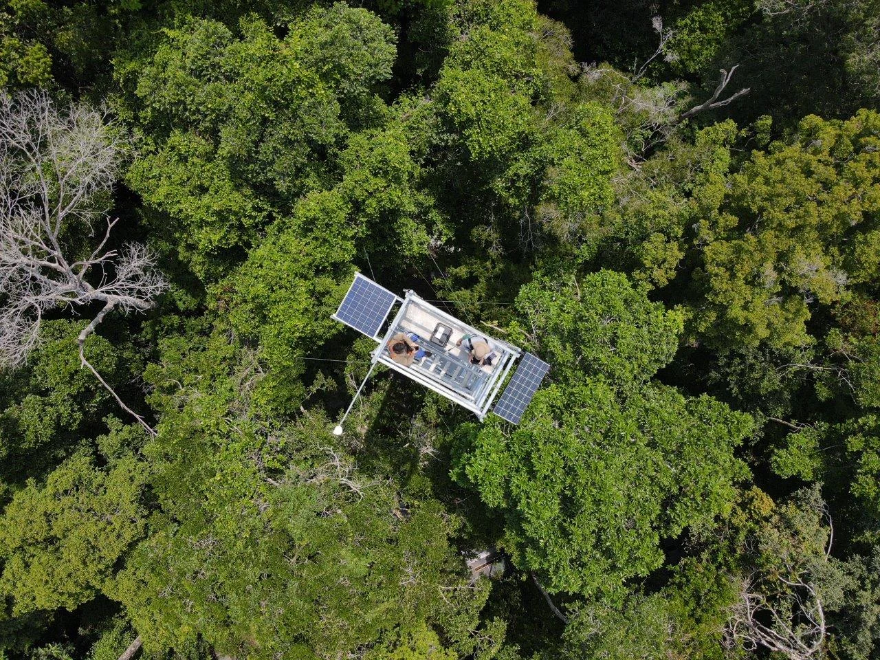 Exposição transforma museu em fluxo vivo de saberes sobre a Amazônia 7 Exposição transforma museu em fluxo vivo de saberes sobre a Amazônia