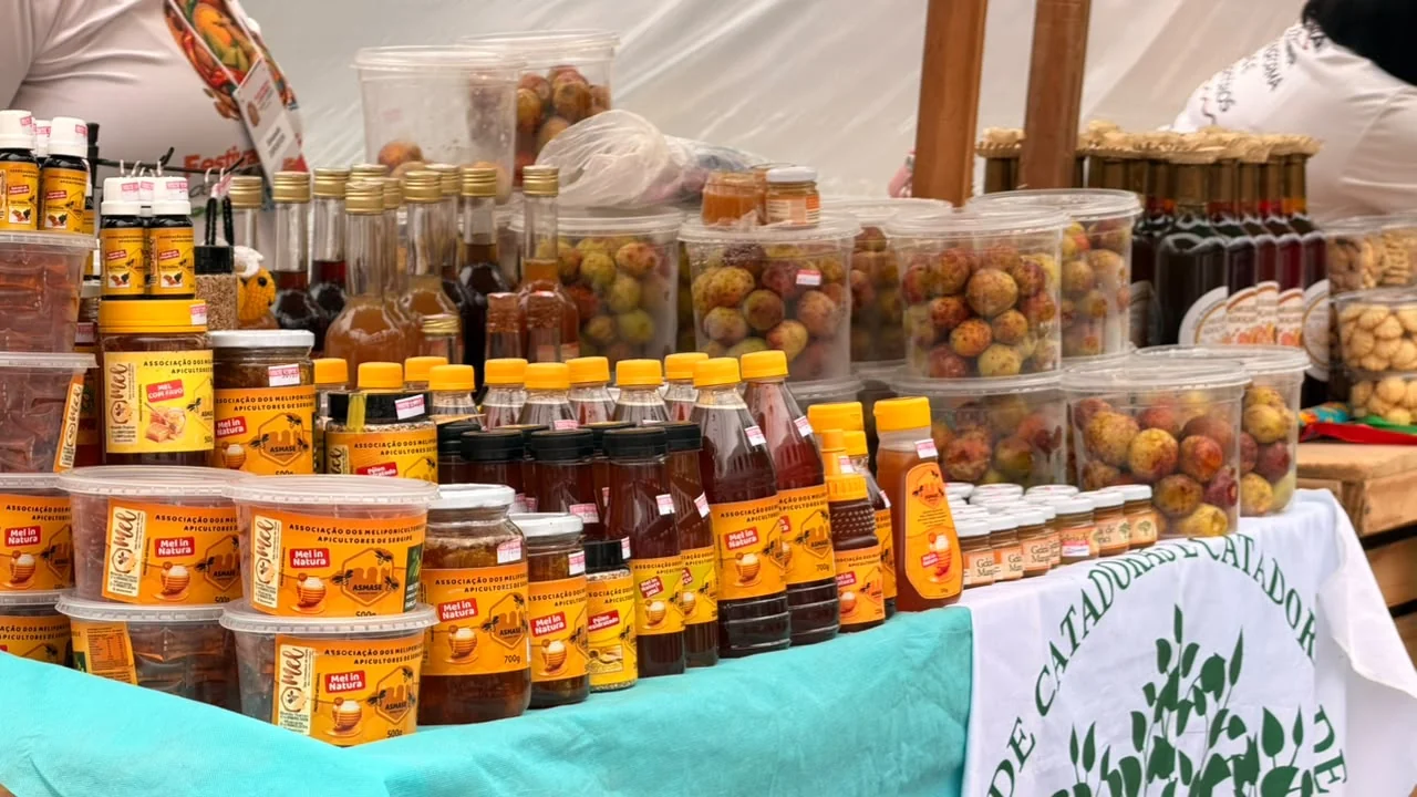 Feira gratuita no Pier Mauá reúne 250 expositores de todo o Brasil