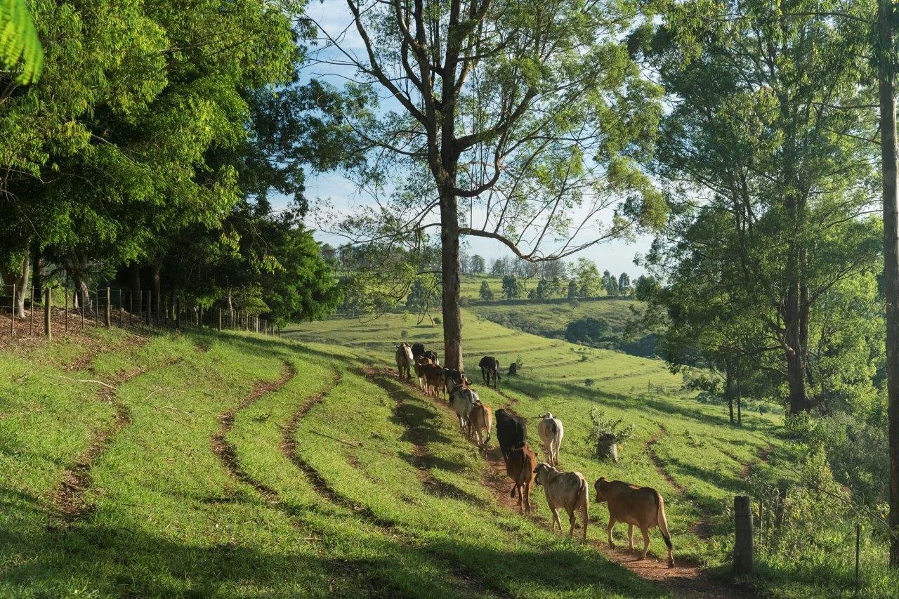 Férias de julho: experiências que vão além dos parques