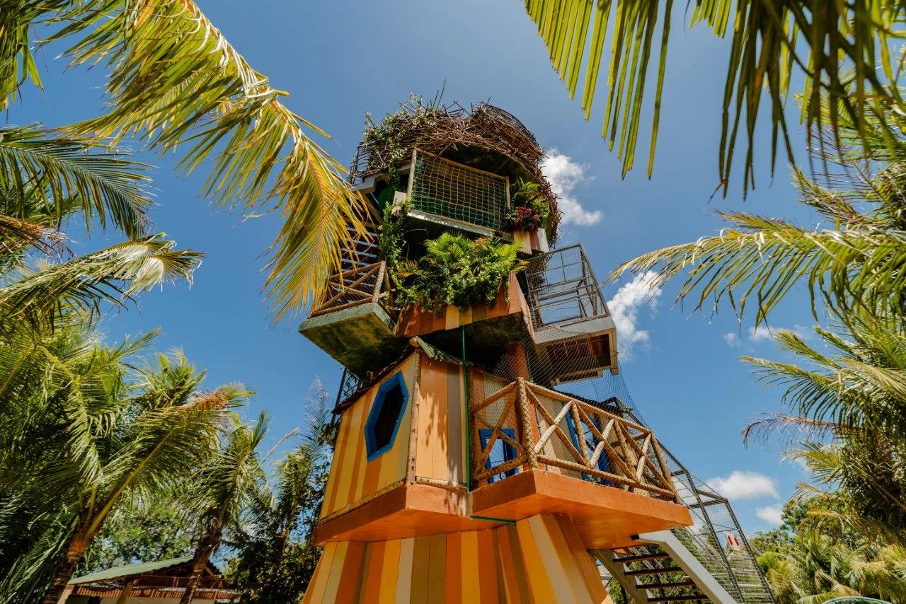 Férias de julho: experiências que vão além dos parques
