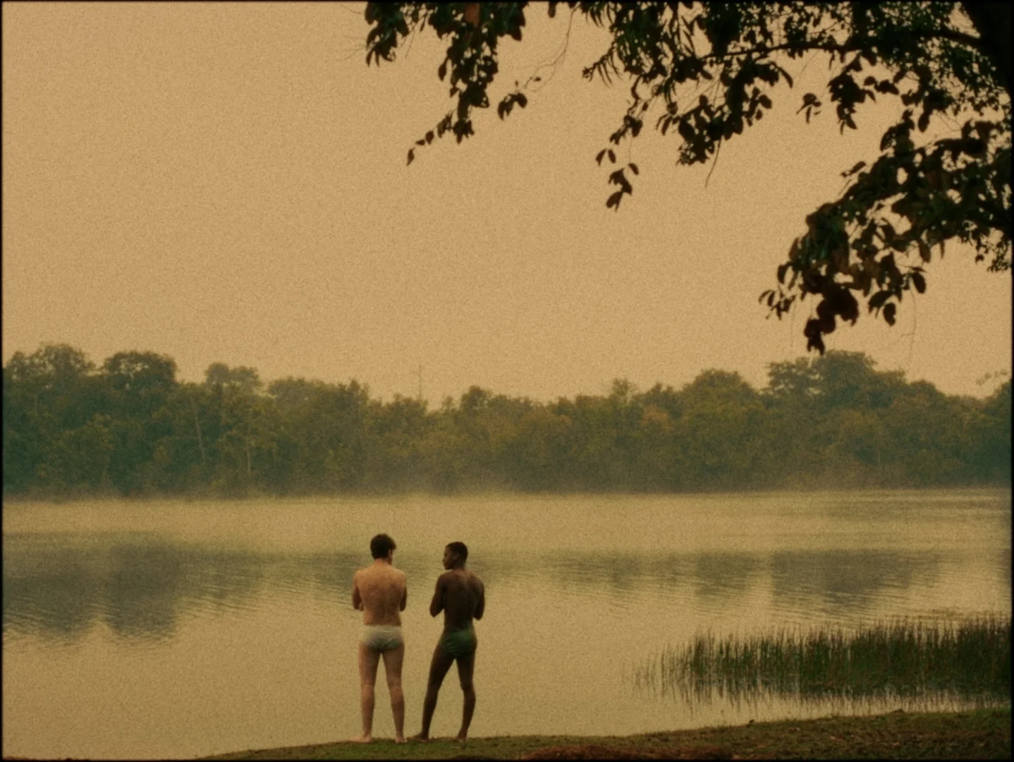 Festival Cinemato revela 67 filmes e mobiliza cinema brasileiro