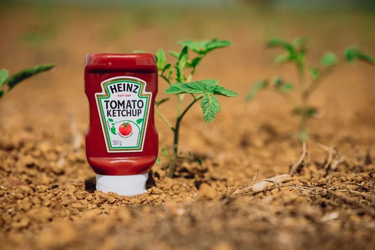 kraft heinz usa ia para revolucionar producao de tomate no brasil featured