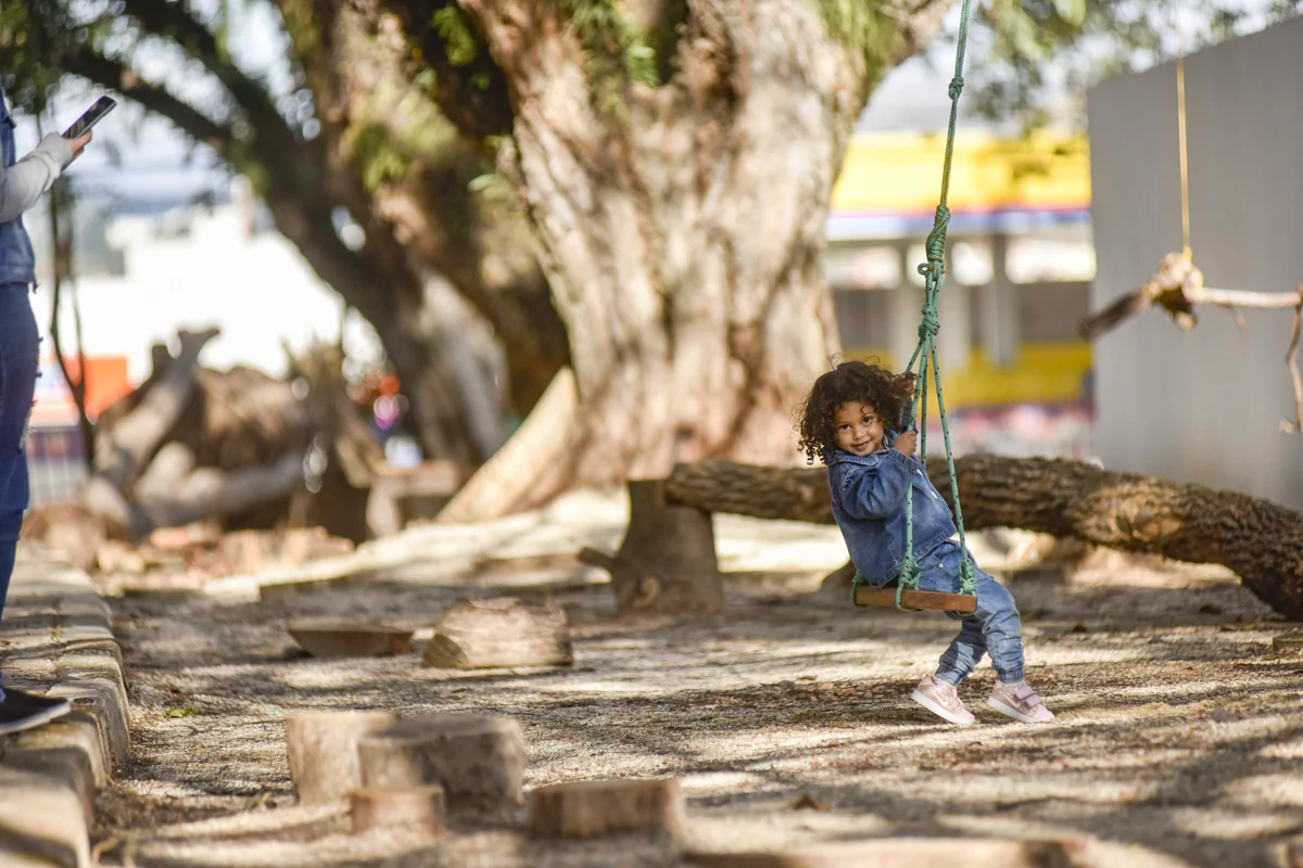 livro revela como cidades brasileiras estao se adaptando as infancias featured