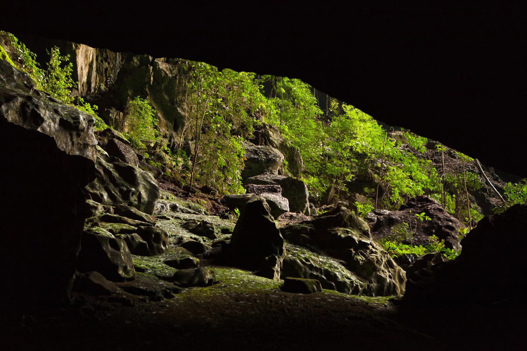 Malásia aposta em florestas milenares e cavernas para atrair turistas