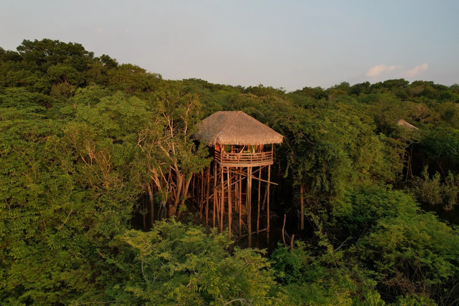 Na Amazônia, lodge vira refúgio para yoga, meditação e reconexão