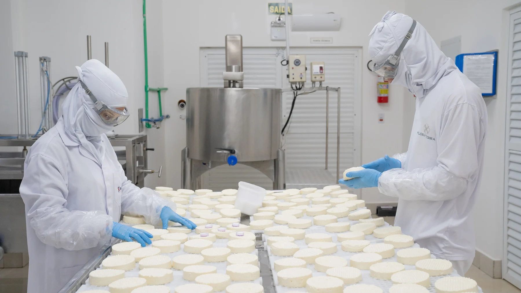 O que o queijo revela sobre a história da humanidade