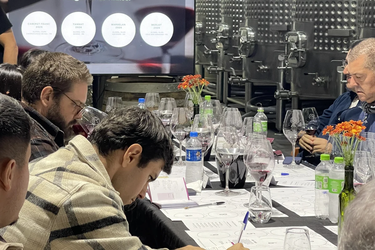 projeto transforma apreciadores em coautores de vinho exclusivo featured