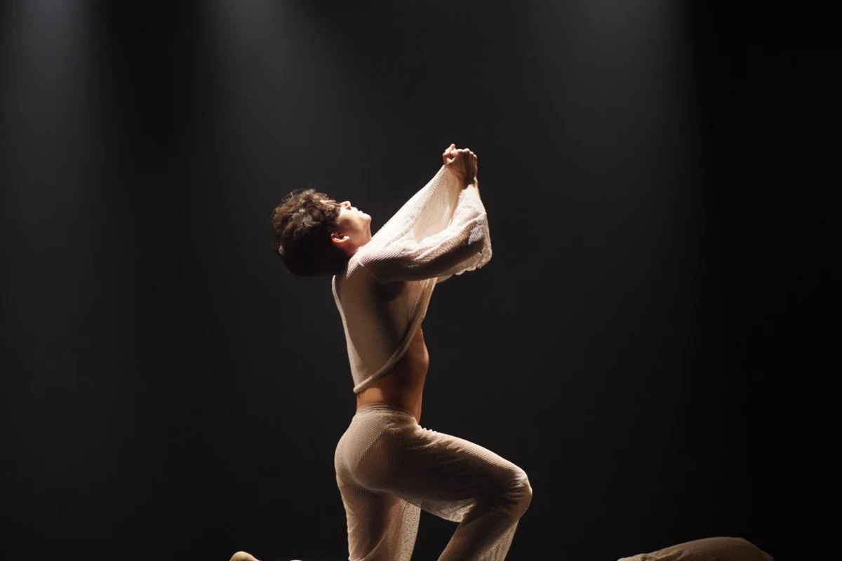 Teatro Dulcina reúne dança, teatro e música em encontro imersivo