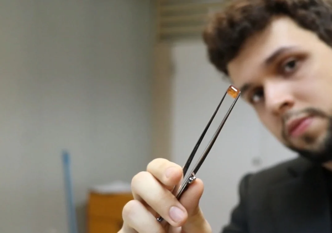 Univerciência estreia nova temporada com pesquisas que impactam o dia a dia