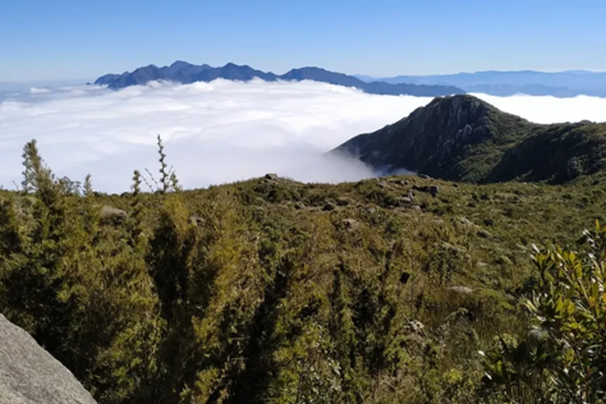 wtr estreia agulhas negras com maior ultramaratona da historia featured