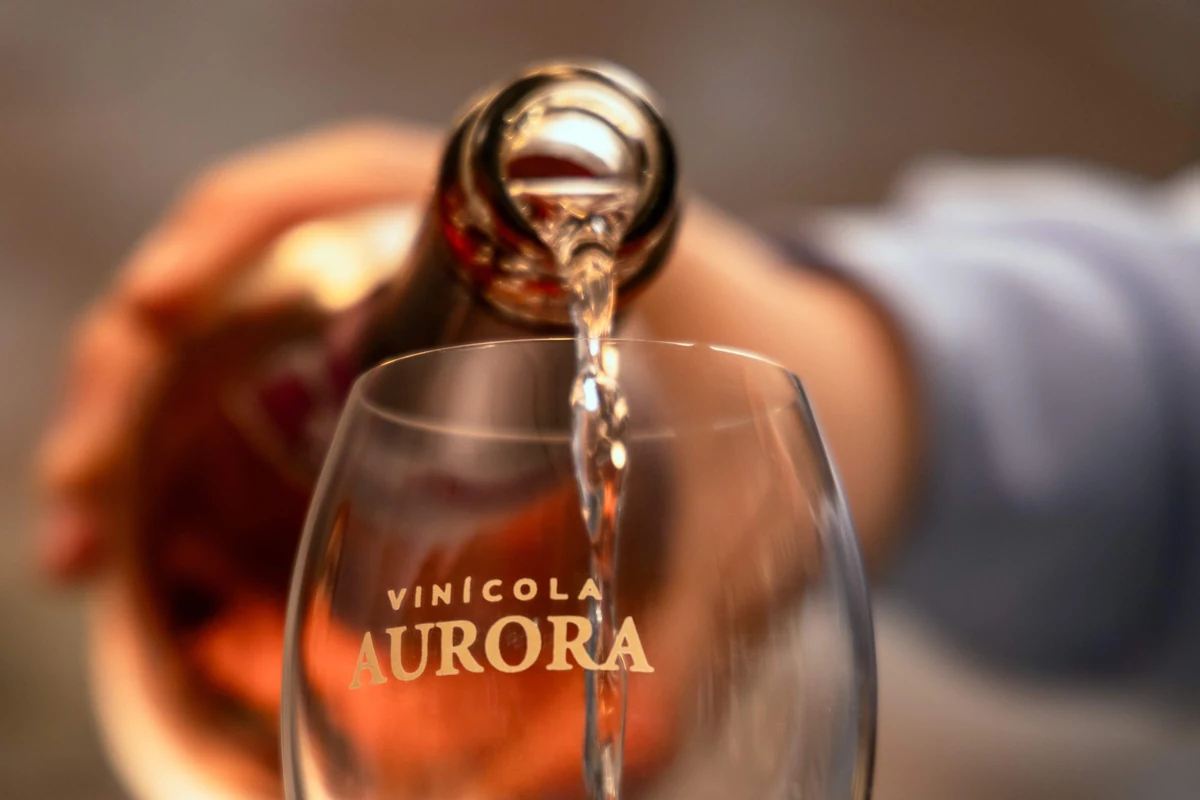 aurora passa de 1 000 medalhas e amplia marca no vinho brasileiro featured