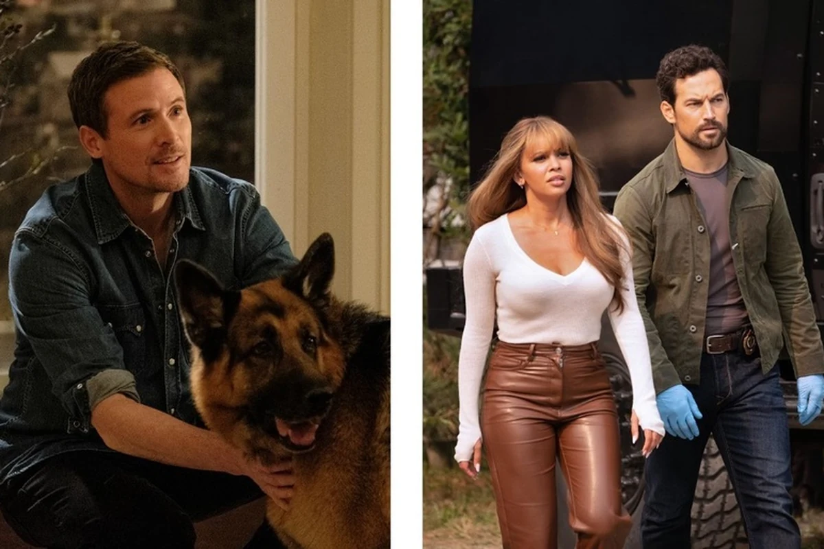 axn estreia novas fases de wild cards e hudson rex featured