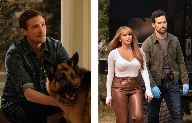 AXN estreia novas fases de Wild Cards e Hudson & Rex