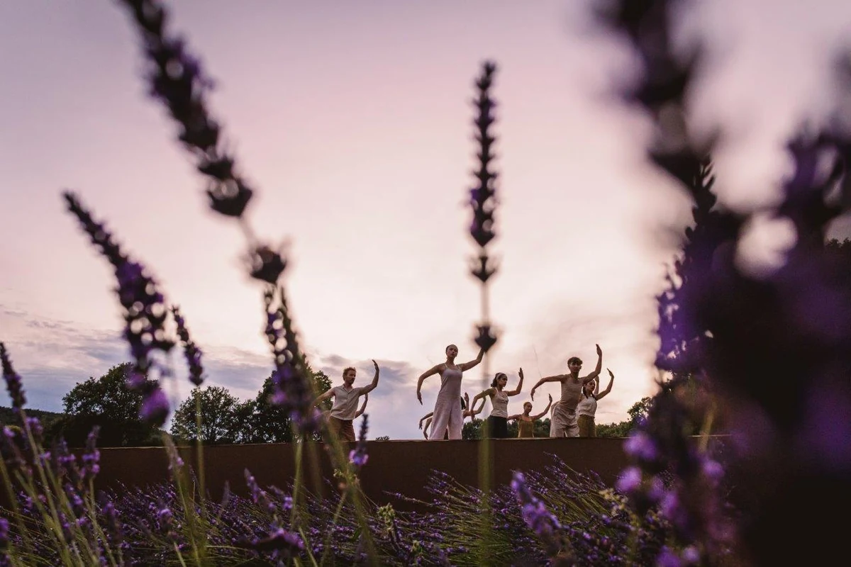 danca em lavanda traduz 50 anos da l occitane em gesto e memoria featured