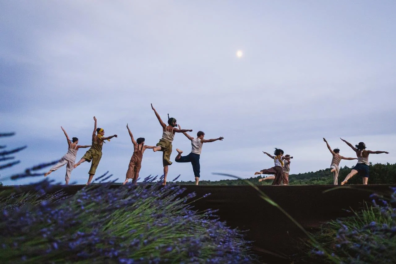 Dança em lavanda traduz 50 anos da L’Occitane em gesto e memória