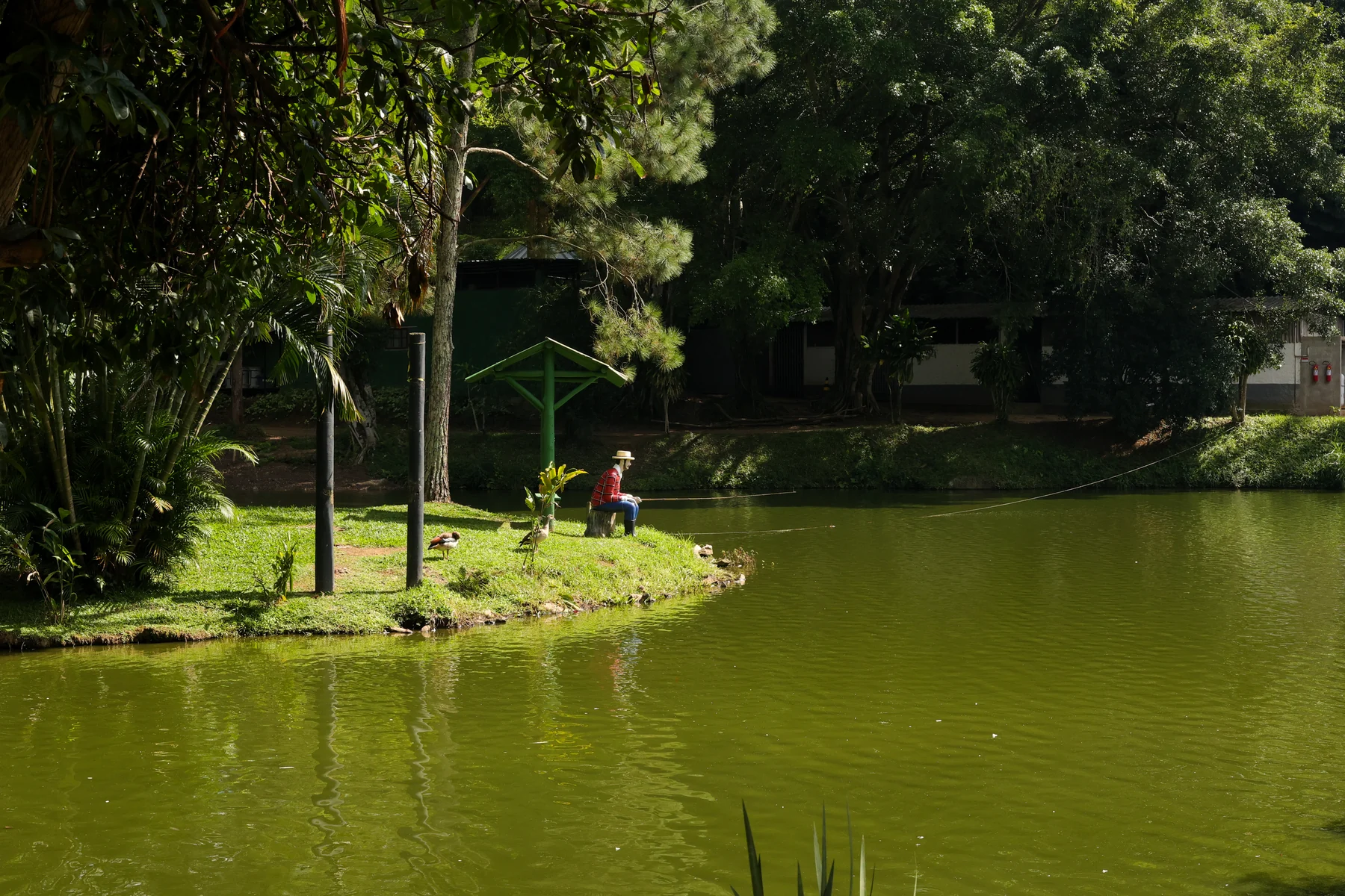 Destino no interior do Rio cria refúgio sensorial e redefine turismo para famílias atípicas
