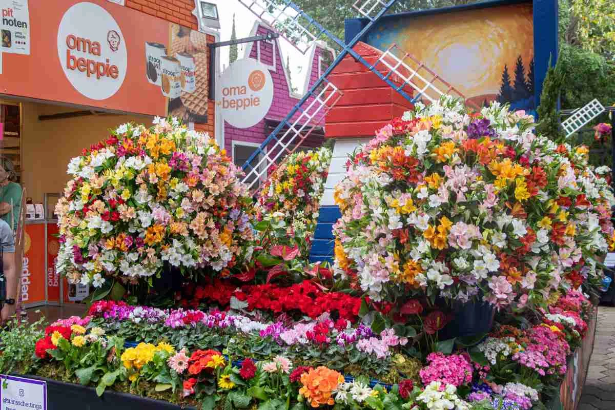 Expoflora 2026 revisita origens e transforma flores em narrativa 1 Expoflora 2026 revisita origens e transforma flores em narrativa