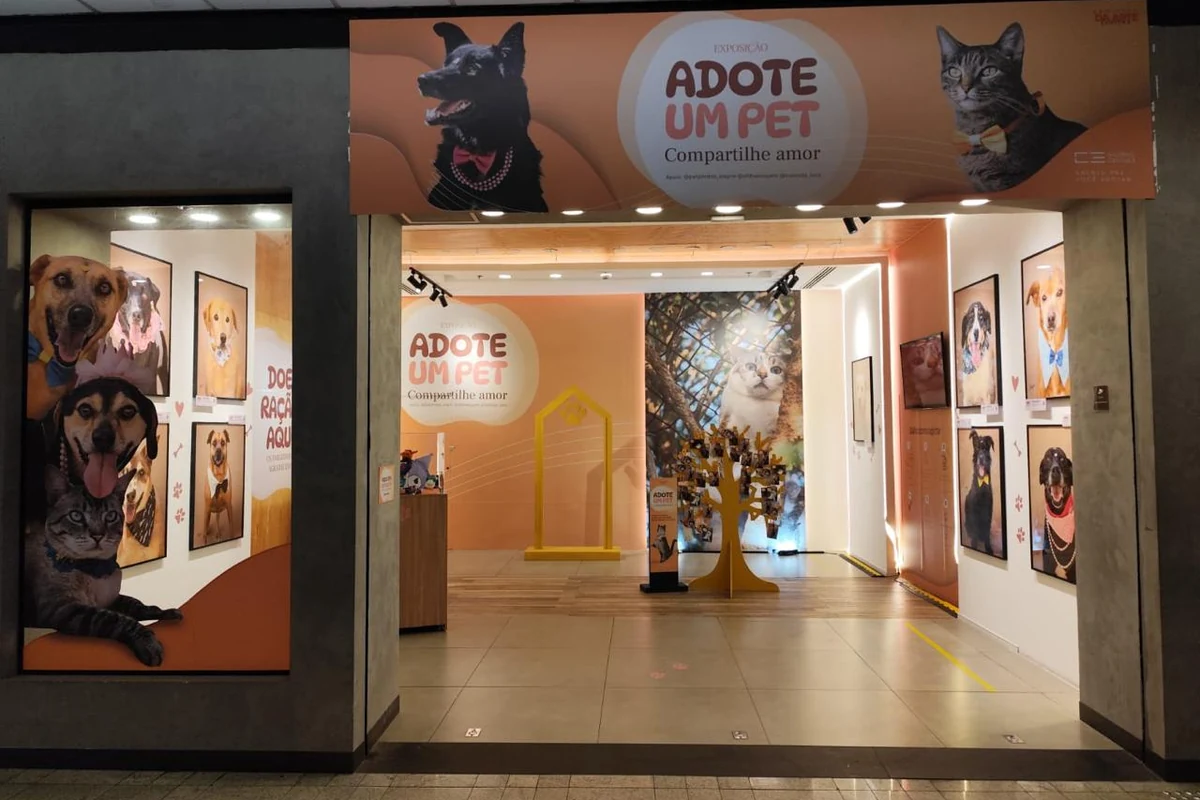 exposicao na paulista da rosto a pets a espera de adocao featured