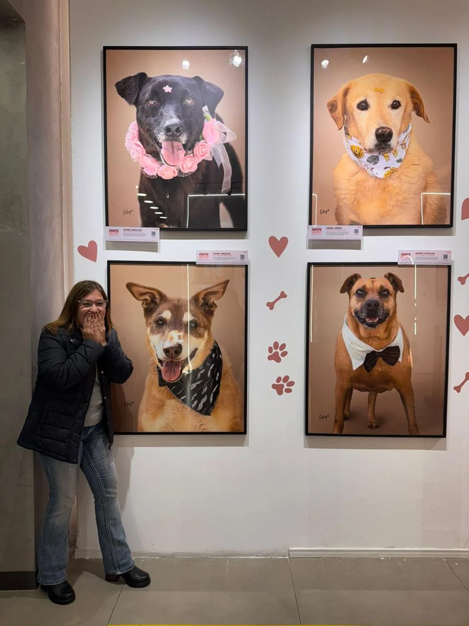 Exposição na Paulista dá rosto a pets à espera de adoção