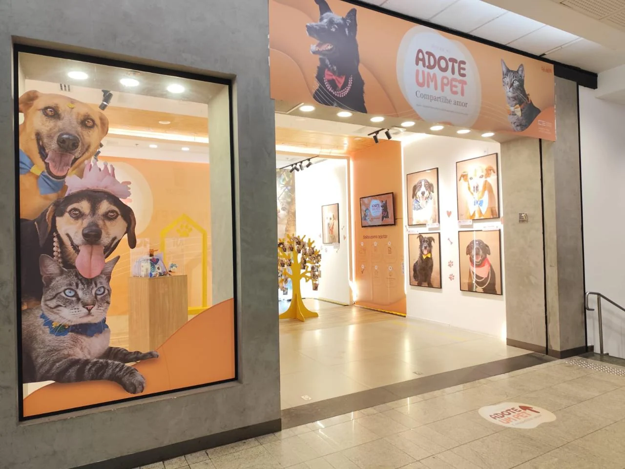 Exposição na Paulista dá rosto a pets à espera de adoção