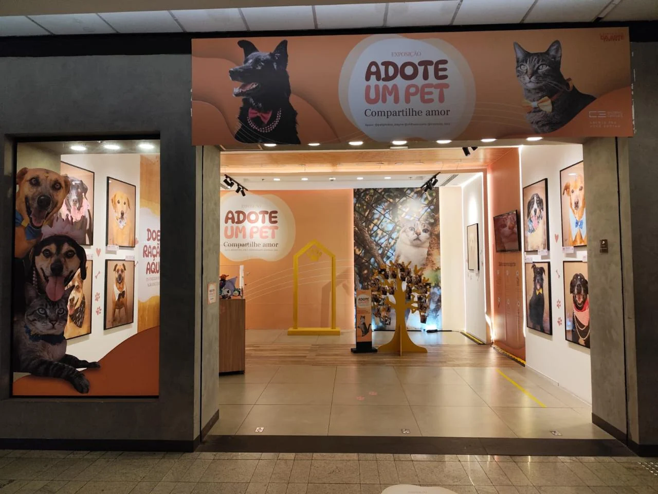 Exposição na Paulista dá rosto a pets à espera de adoção