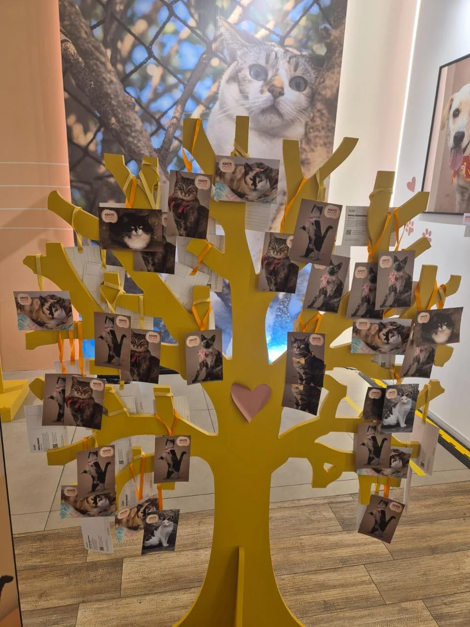 Exposição na Paulista dá rosto a pets à espera de adoção
