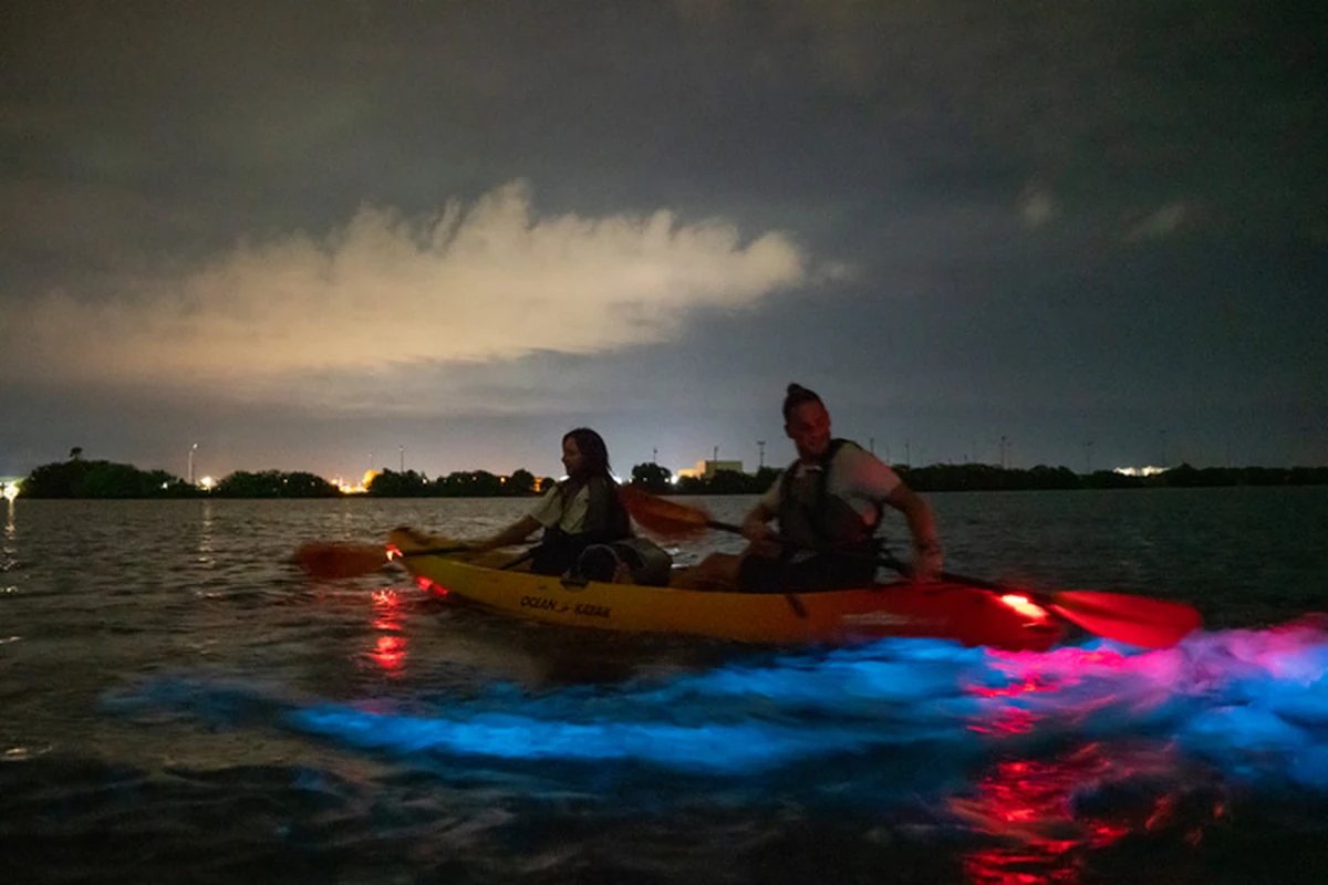 fenomenos naturais transformam a florida entre julho e setembro featured