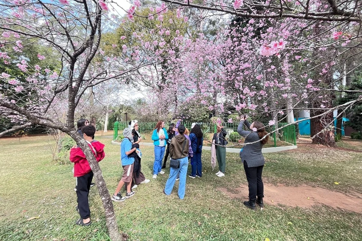 ferias em sp ampliam acesso a atividades gratuitas em parques featured