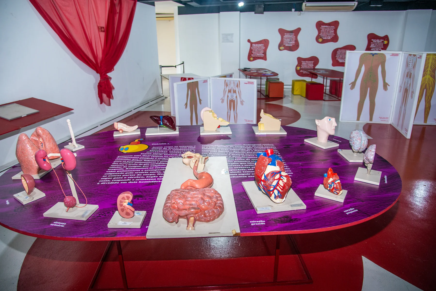 Férias no Museu Ciência e Vida misturam planetário, jogos e oficinas 5 Férias no Museu Ciência e Vida misturam planetário, jogos e oficinas