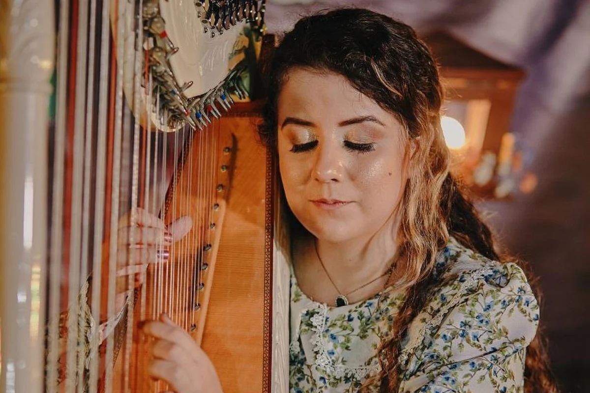 harpista vende artesanato para voltar ao rio harp festival featured