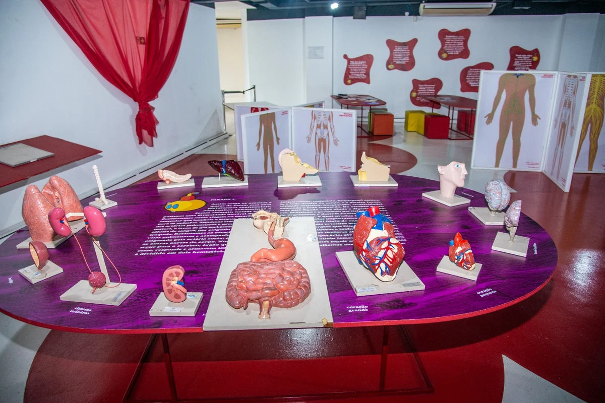 Museu em Caxias aposta em férias com ciência e entrada gratuita museu em caxias aposta em ferias com ciencia e entrada gratuita featured
