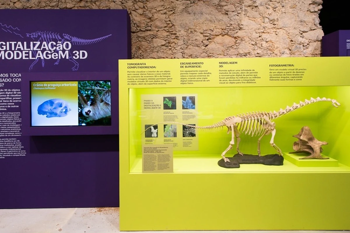 Museu Nacional abre bastidores e memória em duas exposições museu nacional abre bastidores e memoria em duas exposicoes featured