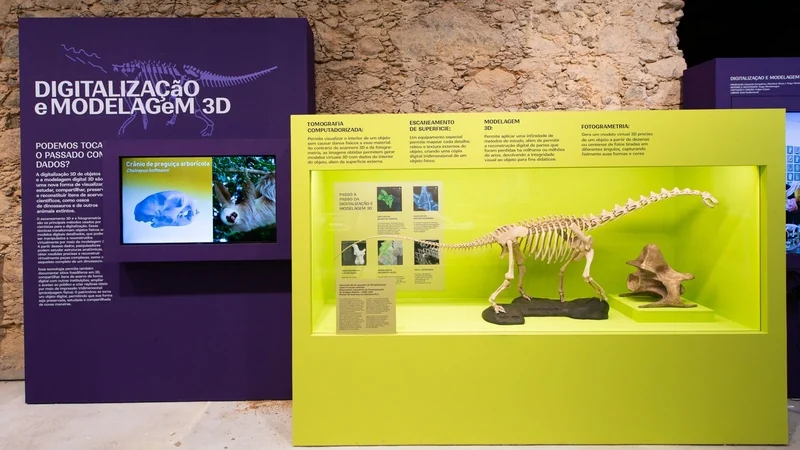 Museu Nacional abre bastidores e memória em duas exposições 2 Museu Nacional abre bastidores e memória em duas exposições