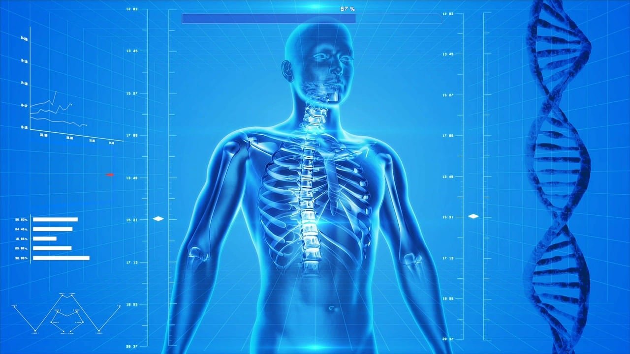 O avanço da IA no setor de seguros e saúde publicdomainpictures human skeleton 163715 1280