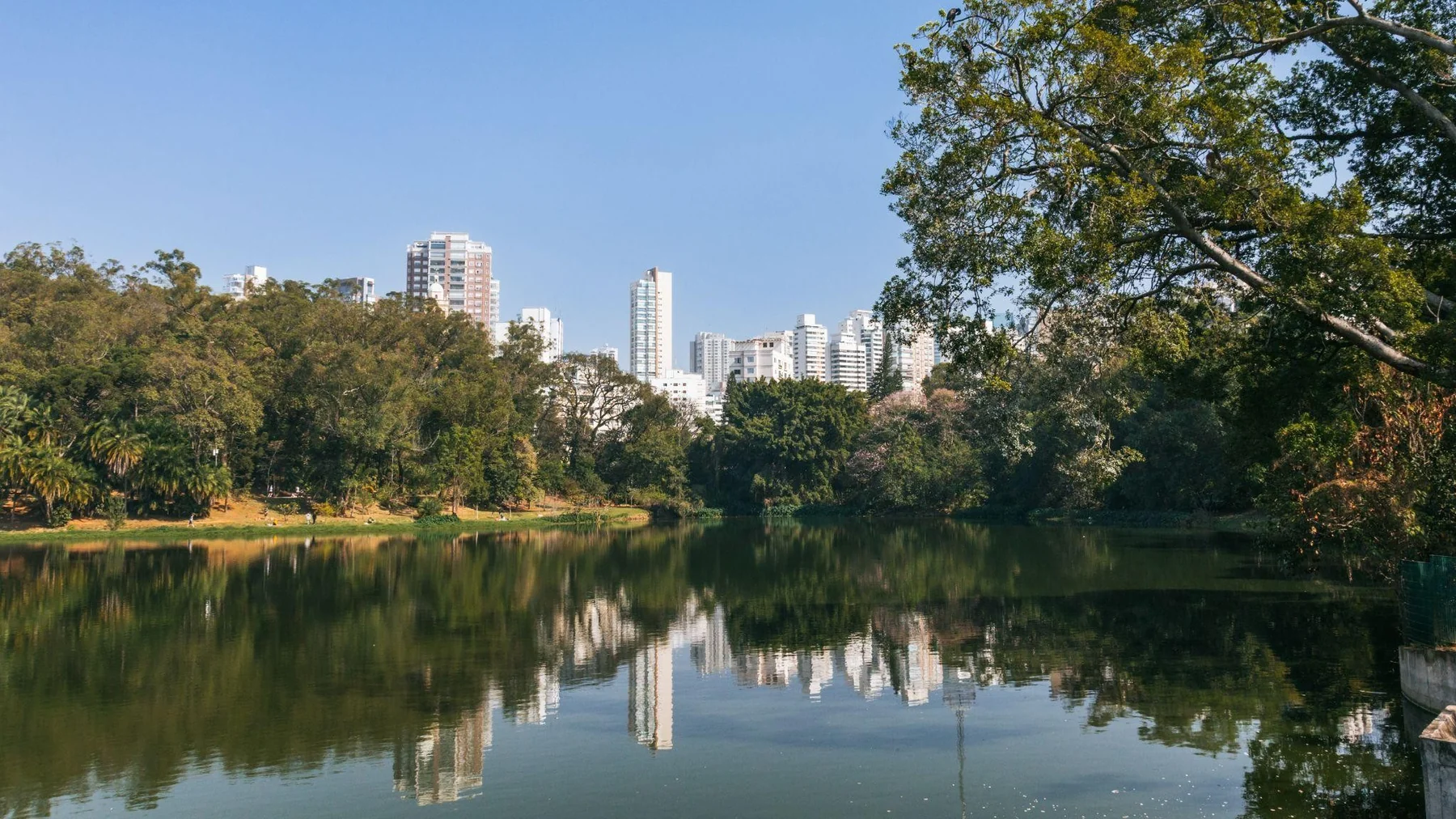 São Paulo dispara no turismo de julho impulsionada por Harry Styles