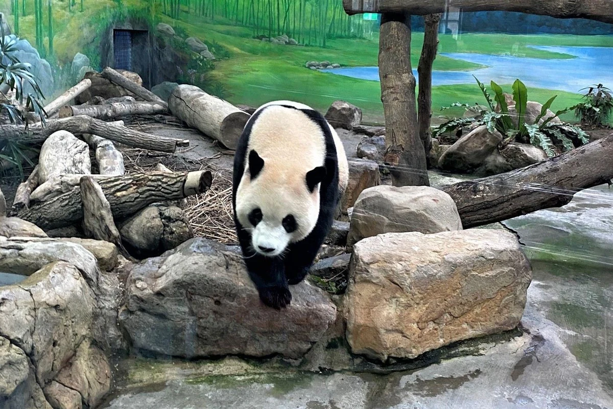 taiwan aposta em experiencias que aproximam familias featured