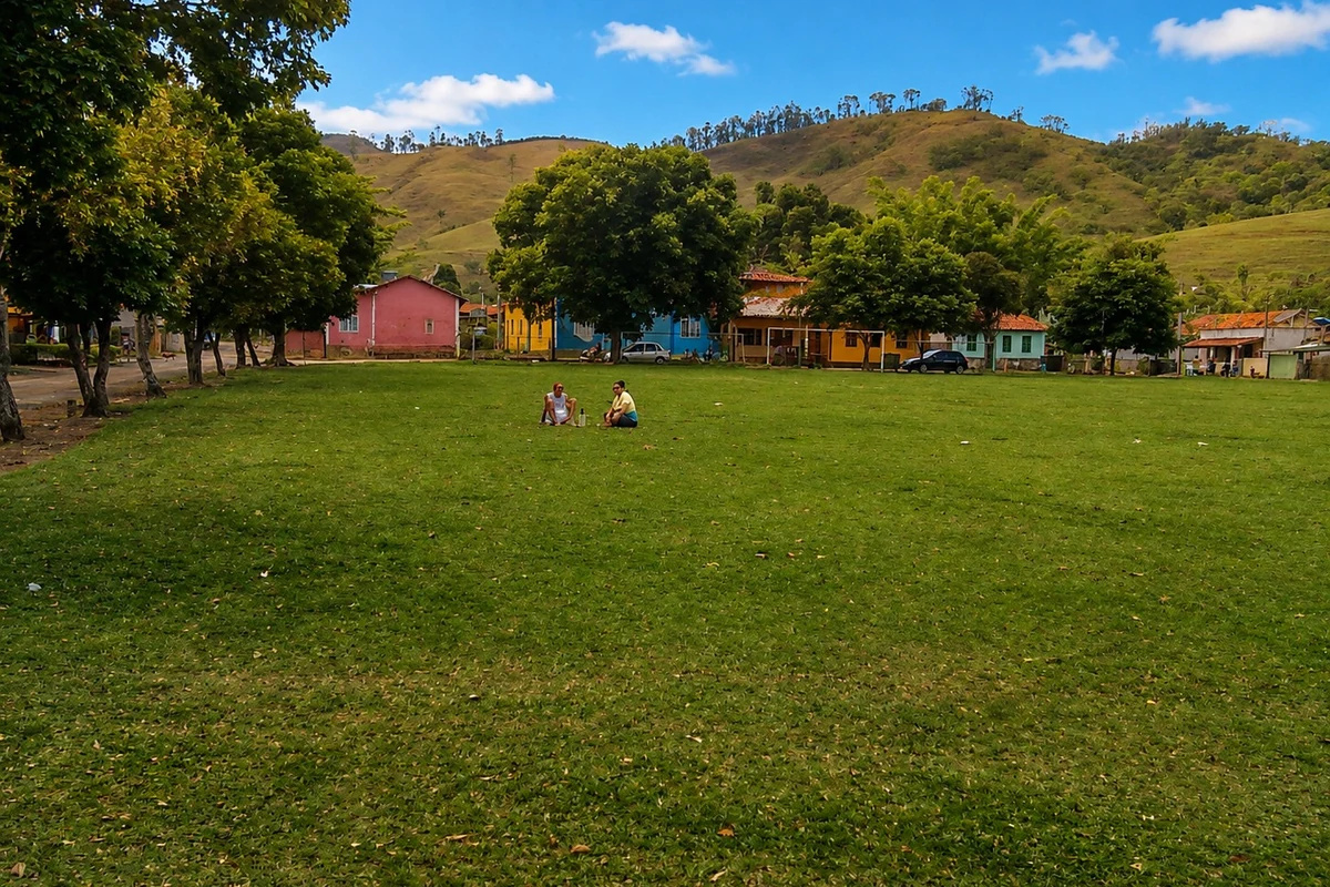 tela a ceu aberto na zona da mata projeta o brasil contemporaneo featured